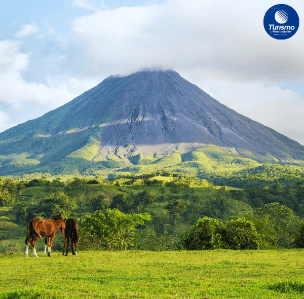 Costa Rica y Panamá