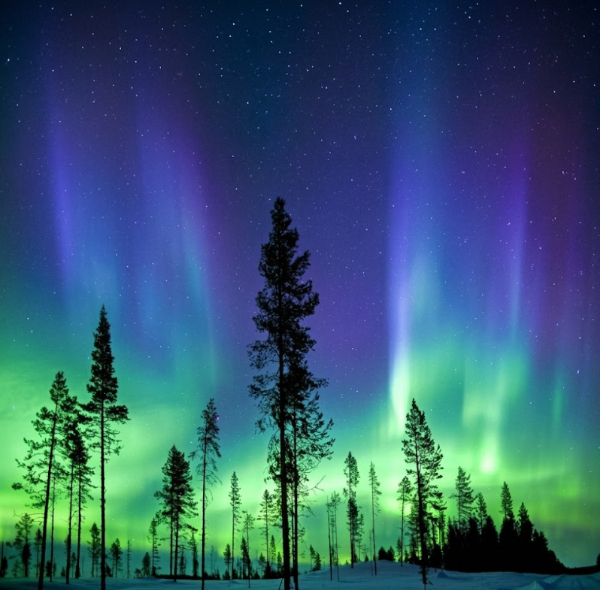 Navidad y Auroras Boreales
